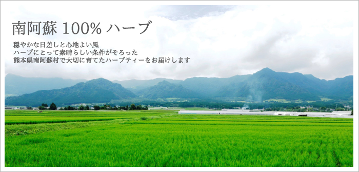 南阿蘇100%ハーブ